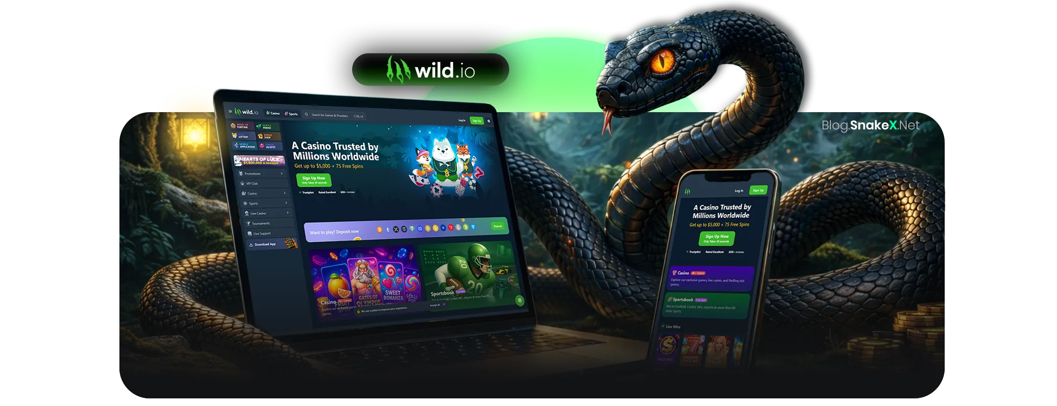 Wild.io